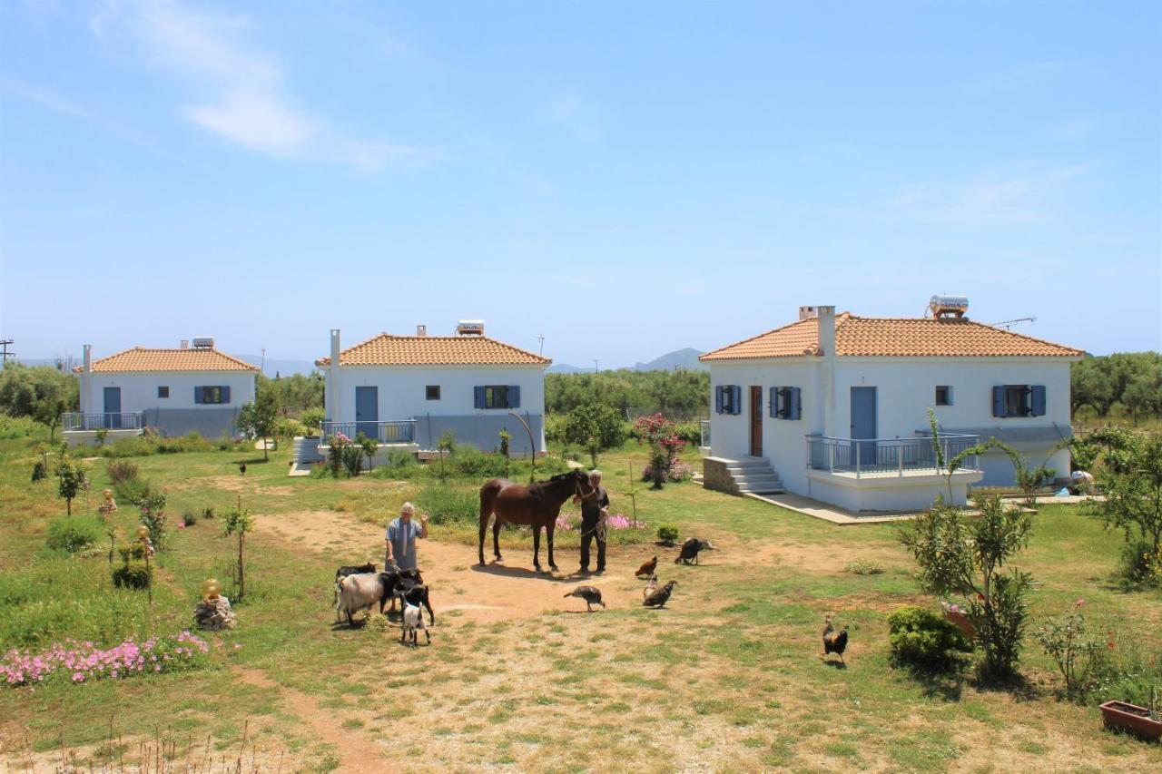 Villa Stamna Farm à Romanos  Extérieur photo